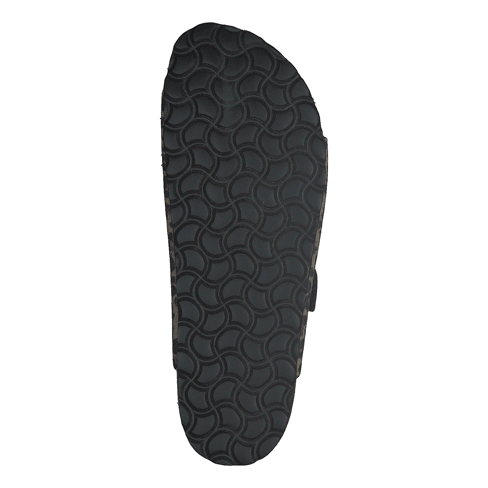 Charlie Chestnut/leopard