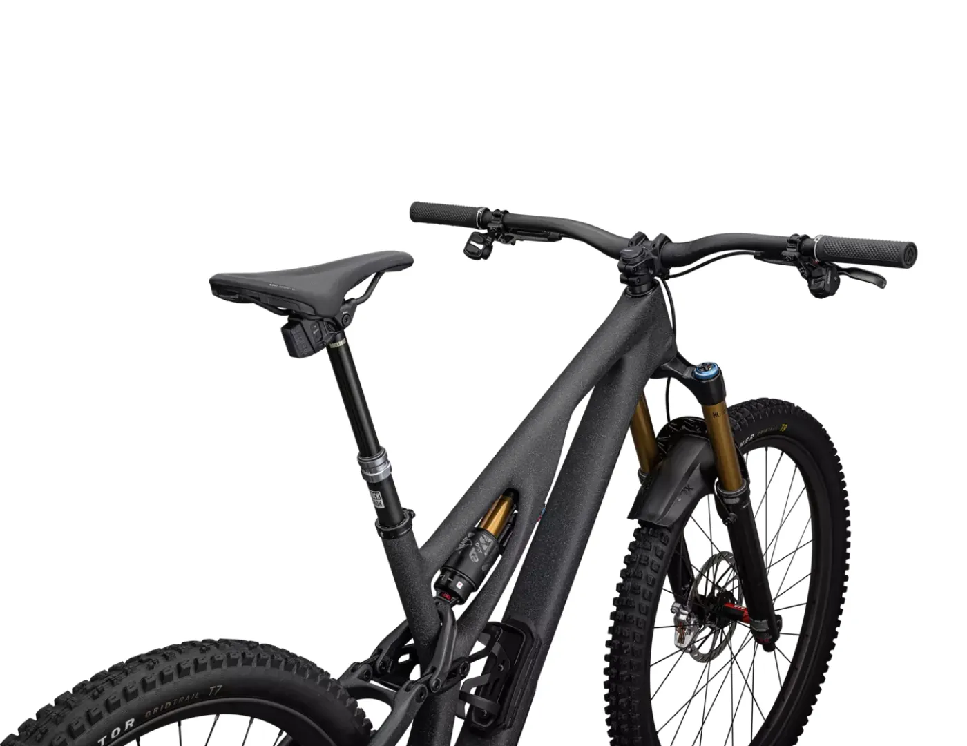 S-Works Stumpjumper Evo T-Type 2024