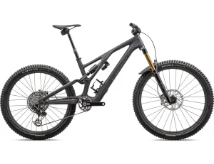 S-Works Stumpjumper Evo T-Type 2024