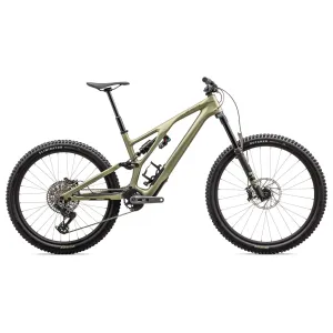 Specialized Stumpjumper EVO Expert T-Type
