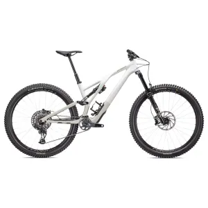 Specialized Stumpjumper EVO Expert